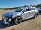 2024 LEXUS RX 350