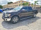 2013 FORD F150