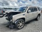 2009 CADILLAC ESCALADE