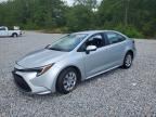 2025 TOYOTA COROLLA HYBRID