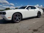 2013 DODGE CHALLENGER
