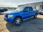 2010 FORD F150