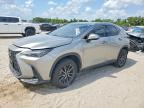 2024 LEXUS NX