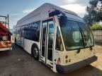 2013 EL DORADO AXESS