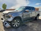 2013 FORD F150