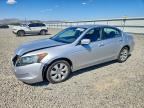 2009 HONDA ACCORD