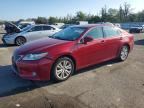 2013 LEXUS ES