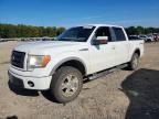 2010 FORD F150