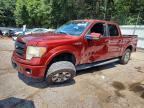 2014 FORD F150