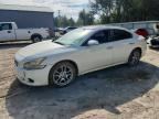2009 NISSAN MAXIMA