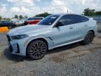 2024 BMW X6