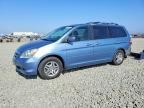 2005 HONDA ODYSSEY