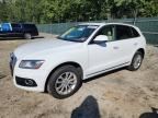 2017 AUDI Q5