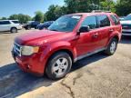 2010 FORD ESCAPE
