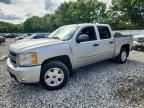 2010 CHEVROLET SILVERADO