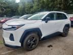 2026 TOYOTA RAV4