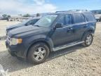2010 FORD ESCAPE