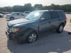 2010 FORD ESCAPE
