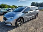 2023 HONDA ODYSSEY
