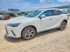 2026 LEXUS RX