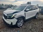 2025 HONDA PASSPORT