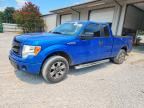 2013 FORD F150