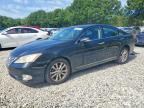 2010 LEXUS ES