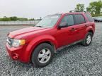 2010 FORD ESCAPE