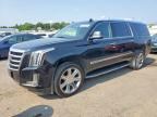 2020 CADILLAC ESCALADE