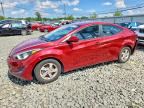 2014 HYUNDAI ELANTRA