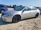 2010 NISSAN ALTIMA