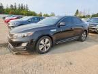 2014 KIA OPTIMA