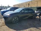 2021 LEXUS UX
