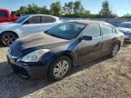 2010 NISSAN ALTIMA