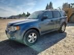 2010 FORD ESCAPE