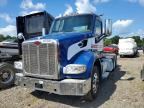 2017 PETERBILT 567