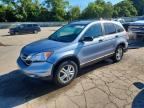 2010 HONDA CR-V