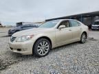 2010 LEXUS LS