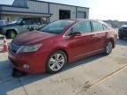2010 LEXUS HS