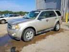2010 FORD ESCAPE