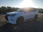 2020 LEXUS GX 460