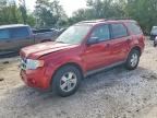 2012 FORD ESCAPE
