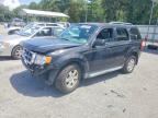 2011 FORD ESCAPE