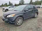 2009 HONDA CR-V