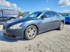 2013 NISSAN MAXIMA
