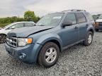 2012 FORD ESCAPE