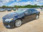 2013 LEXUS ES