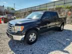 2010 FORD F150