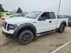 2010 FORD F150