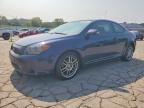 2010 SCION TC